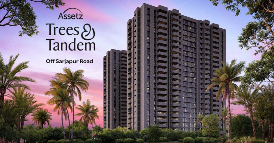 Assetz Trees and Tandem floor plans and brochure